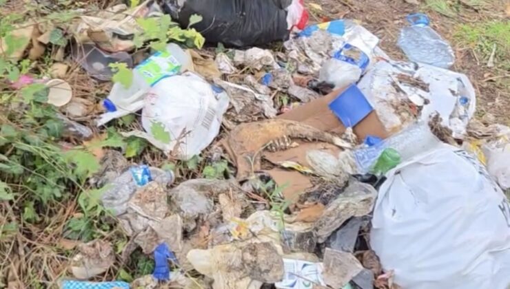 Bolu Mengen’de İsmail Varlıtürk, yol kenarına atılan çöpleri 2 saatte topladı