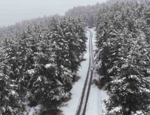 Bolu’nun yüksek kesimlerinde kar etkili oldu, Kartalkaya yolu beyaza büründü