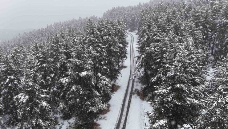 Bolu’nun yüksek kesimlerinde kar etkili oldu, Kartalkaya yolu beyaza büründü