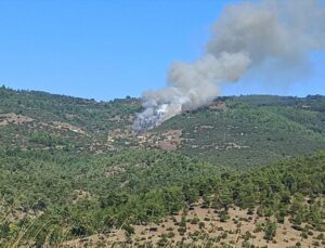 Bursa Büyükorhan’daki orman yangınına ekipler havadan ve karadan müdahale ediyor