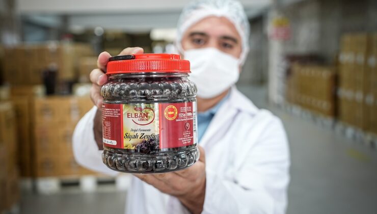 Bursa Gemlik cezaevi zeytin atölyesi hükümlülere meslek öğretip çiftçiye pazar oluyor