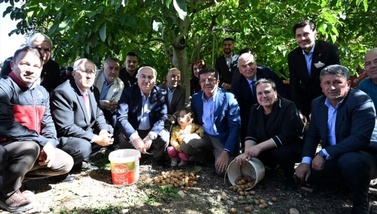 Çameli’de düzenlenen ceviz hasat şenliğine Denizli Valisi Köşger katıldı