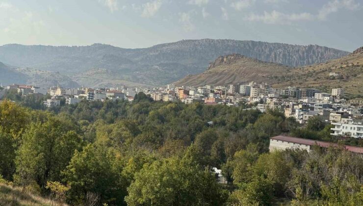 Çermik ve Çüngüş emlakçıları için Tüm Emlak Danışmanlar Birliği başkanlığı kuruldu