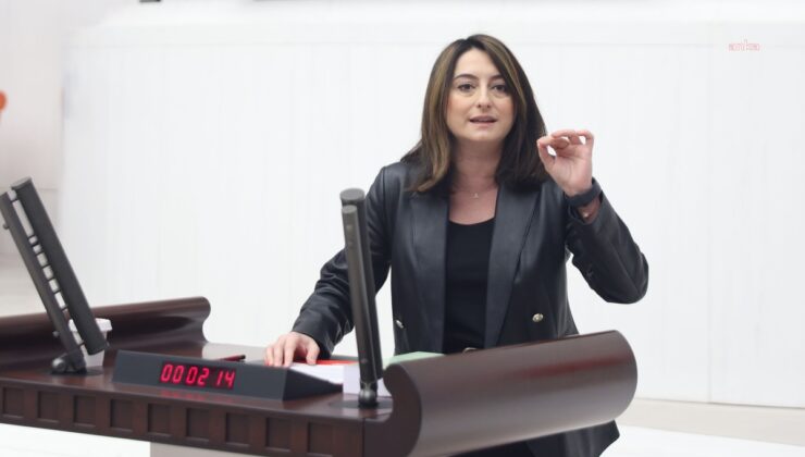 CHP’li Bankoğlu 2027 bütçesinde kadına yönelik şiddetle mücadeleye kaynak istedi