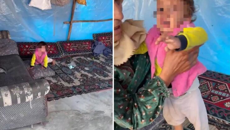 Dehşete düşüren görüntü! Videoyu izleyenler bakanlığı etiketliyor