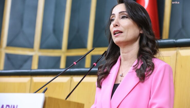 DEM Partili Hatimoğulları, Öcalan’ın özgürce çalışıp iletişim kurmasını istedi