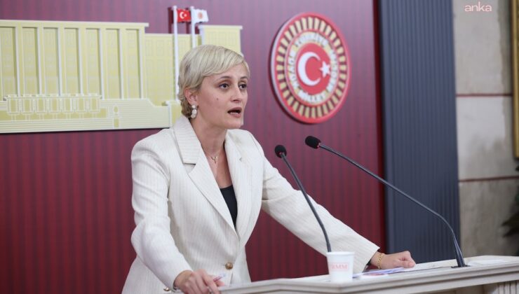 DEM Partili Koca, Halk TV’ye kayyım atanmasını basın özgürlüğüne darbe saydı