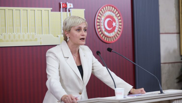 DEM Partili Koca, Sincan Cezaevi’nde tutuklu Kaos GL yöneticileri için tahliye istedi