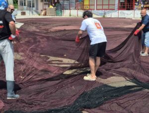 Deniz Yaşamını Koruma Derneği Adalar’da 800 kilogram hayalet ağ çıkardı