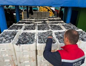 Didim İlçe Tarım ve Orman Müdürlüğü ekipleri hamsi kota denetimlerini sürdürüyor