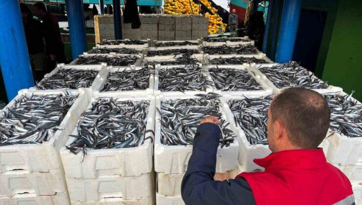Didim İlçe Tarım ve Orman Müdürlüğü ekipleri hamsi kota denetimlerini sürdürüyor