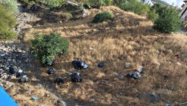 Diyarbakır Çermik’te Haburman Köprüsü çevresine dökülen çöplere tepki gösterildi