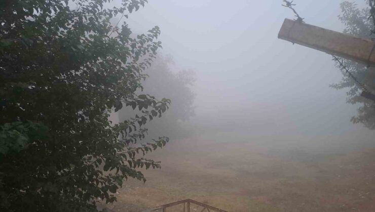 Diyarbakır Silvan’da yoğun sis günlük yaşamı ve ulaşımı olumsuz etkiledi