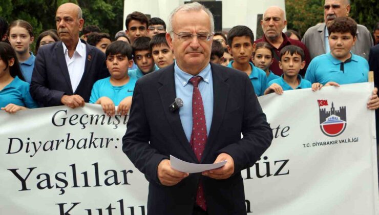 Diyarbakır’da Yaşlılar Günü için düzenlenen yürüyüş Anıt Park’ta sona erdi