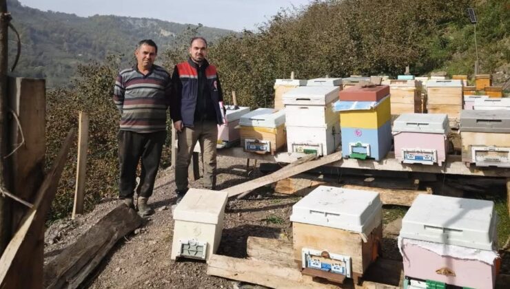 Düzce Yığılca’da Kırık, Gelenöz, Mengen ve Yaylatepe’de arılı kovan sayımı yapıldı