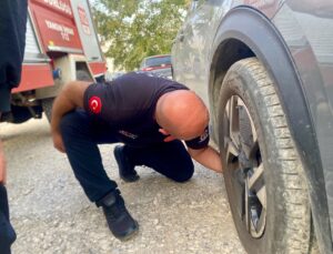 Düzce’de otomobil motorundan gelen kedi sesi üzerine itfaiye yavru kediyi kurtardı