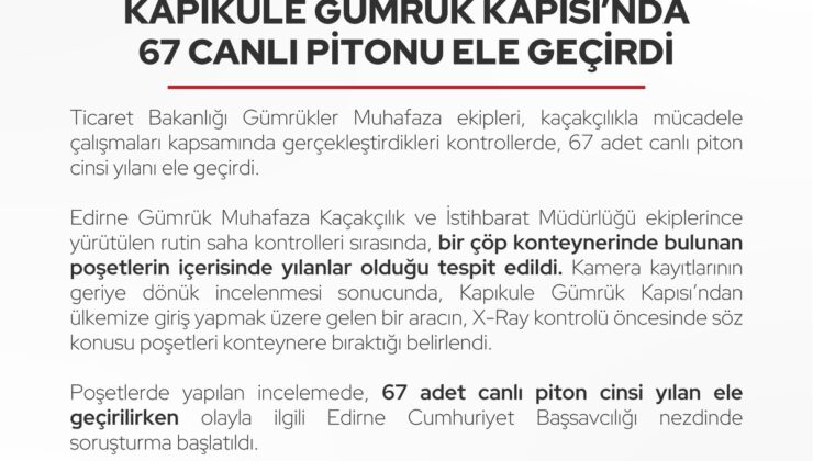 Edirne’de çöp konteynerine bırakılan poşetlerden 67 canlı piton çıktı