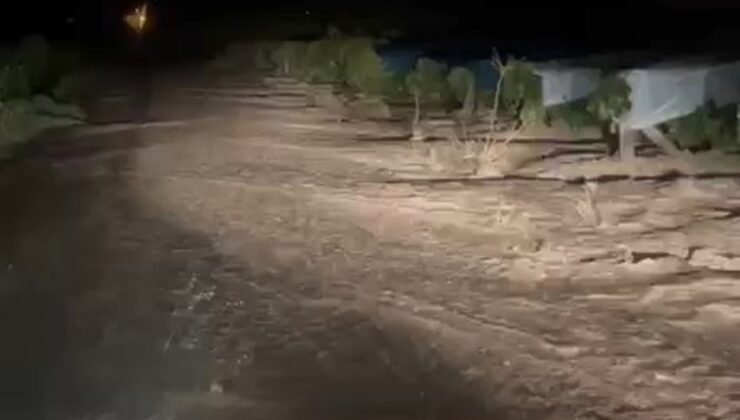 Elazığ’da sağanak dereleri taşırdı, Kıraç ve Hoş’ta üzüm bağlarını su bastı
