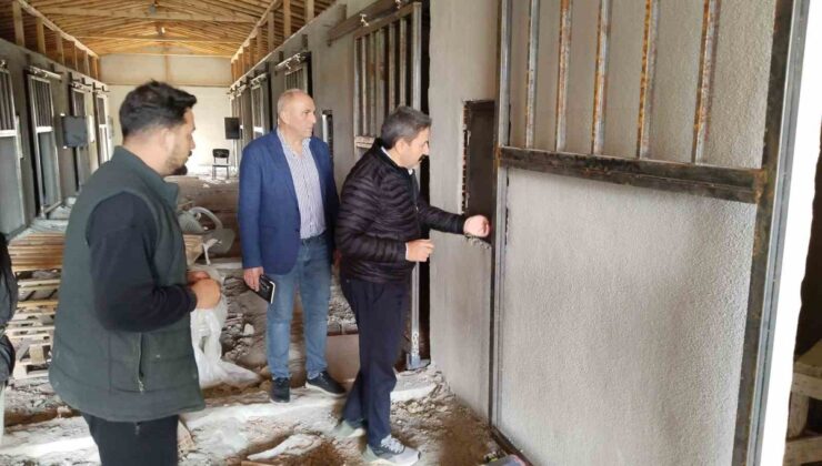 Eskişehir’de 36 Atlık Barınak Projesi’ni İl Müdürü Hasan Kalın yerinde inceledi