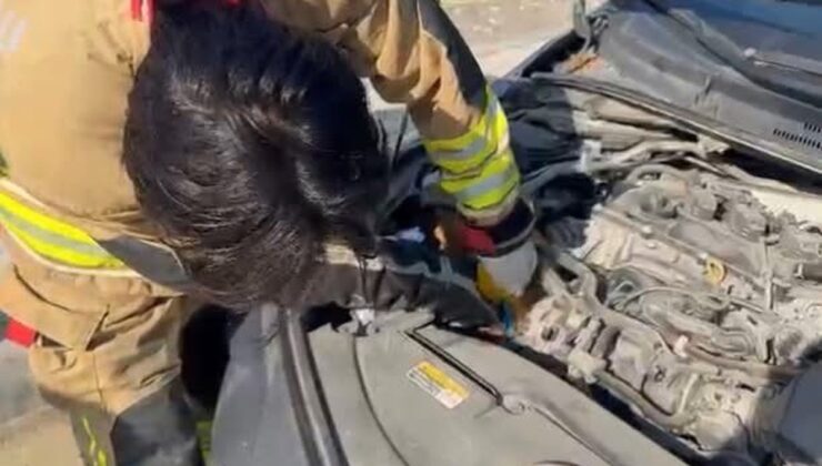 Hatay itfaiyesi Arsuz ve İskenderun’da mahsur hayvanları kurtardı