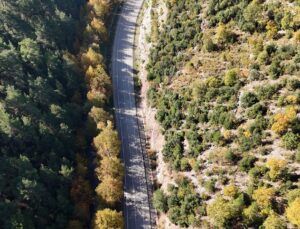 Isparta’nın dört ilçesindeki yaylalar sonbaharla sarı ve kızıl tonlara büründü