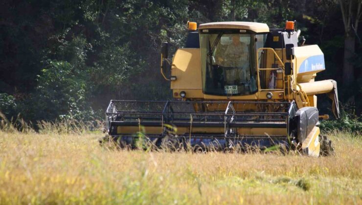 Karabük’te 2026 çeltik hasadı başladı, üreticiler TMO’nun fiyat açıklamasını bekliyor