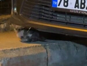 Karabük’te motor bölümüne sıkışan yavru kedi itfaiye ekiplerince kurtarıldı