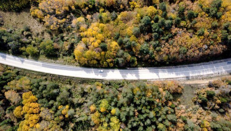 Karabük’te sonbaharda ormanlar sarı ve kızıl tonlarla yolculara manzaralar sunuyor