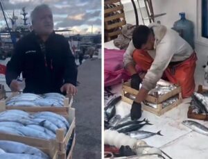 Karadeniz bereketi tezgaha vurdu! Palamut 50 liraya kadar düştü