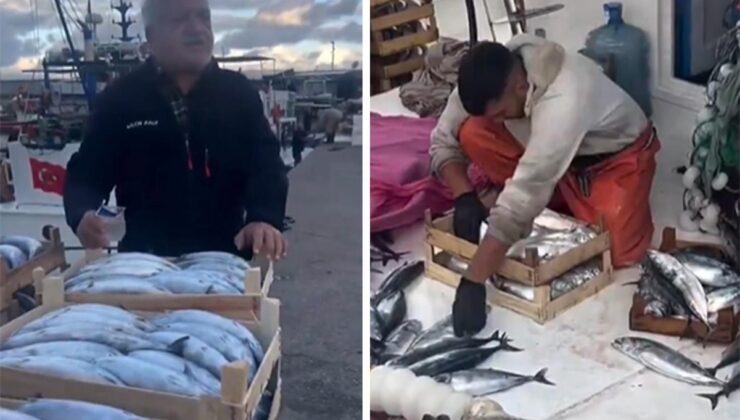 Karadeniz bereketi tezgaha vurdu! Palamut 50 liraya kadar düştü