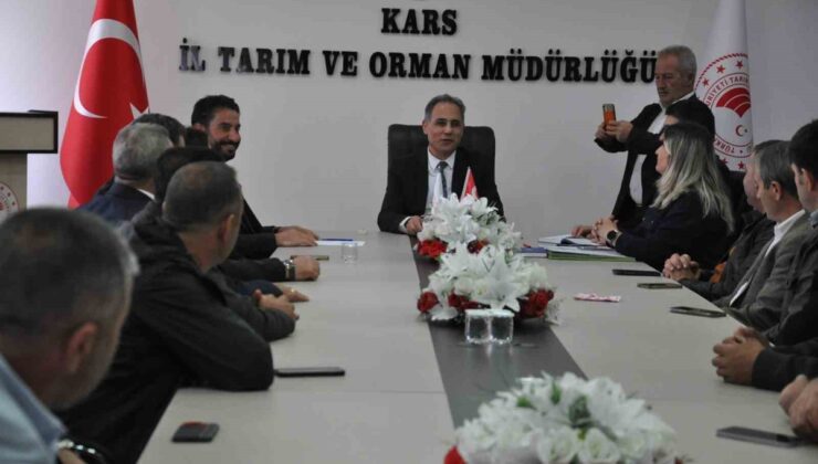 Kars’ta suni tohumlama yetkisi Damızlık Sığır Yetiştiricileri Birliğine geçti
