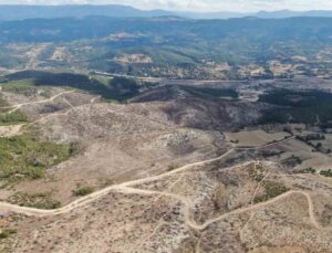 Kastamonu Araç’ta yangında zarar gören 2 bin 736 hektar alanda temizlik sürüyor