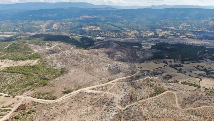Kastamonu Araç’ta yangında zarar gören 2 bin 736 hektar alanda temizlik sürüyor