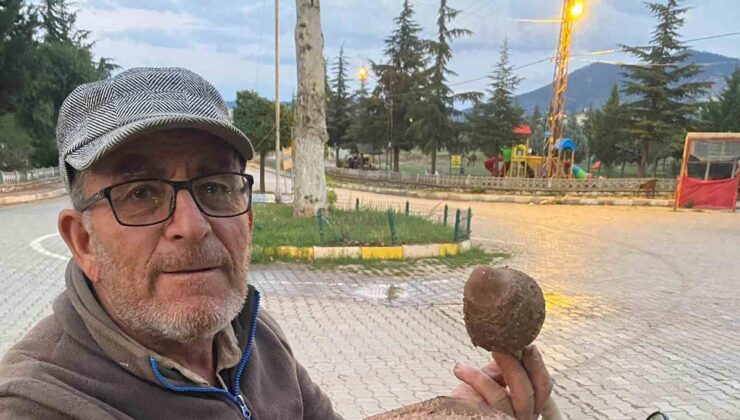 Konya Beyşehir’de arazide büyük külah mantarı bulan vatandaş şaşkınlık yaşadı
