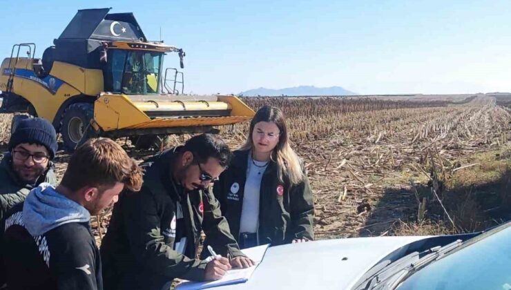 Konya Karapınar’da çerezlik ayçiçeği hasadında biçerdöverler denetlendi
