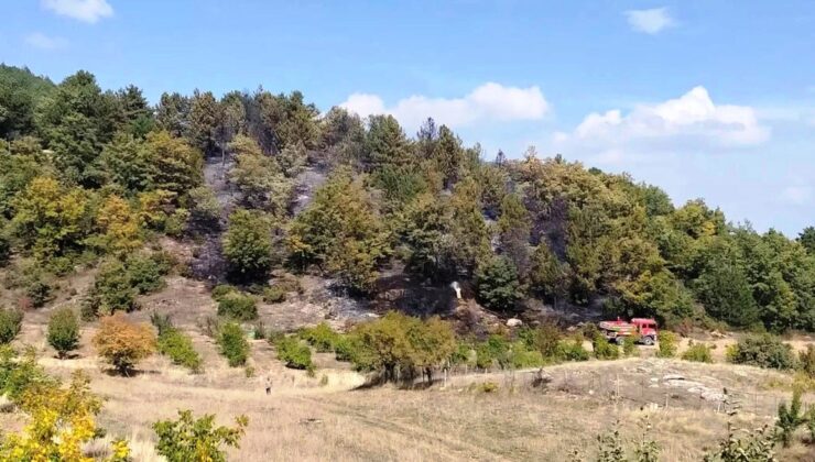 Kütahya Hisarcık’ta yangın 3 saatte söndürüldü, 6 dekar alan zarar gördü