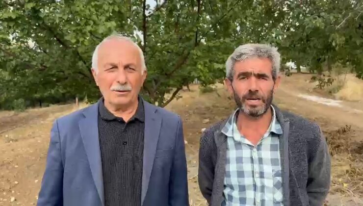 Malatya Akçadağ’da kurttan kaçtığı belirtilen keçi dağlık alanda mahsur kaldı