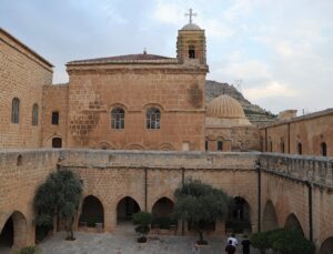 Mardin Deyrulzafaran Manastırı’nda yaklaşık 400 dönüm zeytinde verim arttı