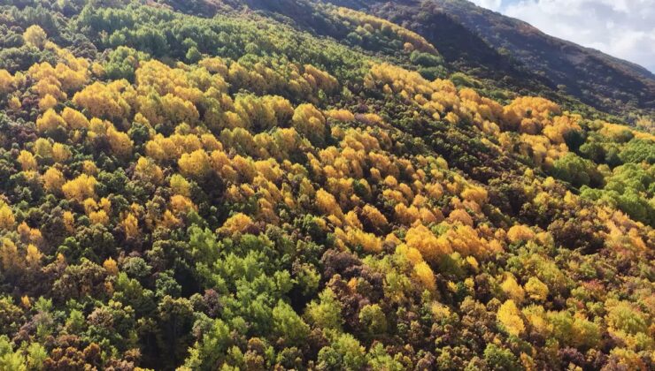 Munzur Çevre Derneği Tunceli Pülümür’de yüksek gerilim hattına karşı yürüdü