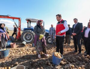 Niğde Çiftlik’te yerli patates çeşitlerinin hasadına Vali Akmeşe katıldı
