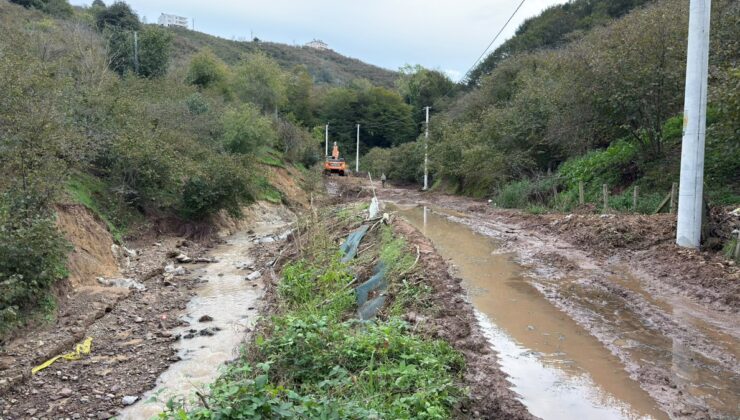 Sakarya Karasu’da baraj taştı, Darıçayırı’nda 5 ayda 4’üncü kez su altında kaldı