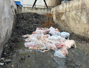 Sakarya Serdivan’da dana sucuğunda domuz eti tespit edildi, 2,6 ton sucuk imha edildi
