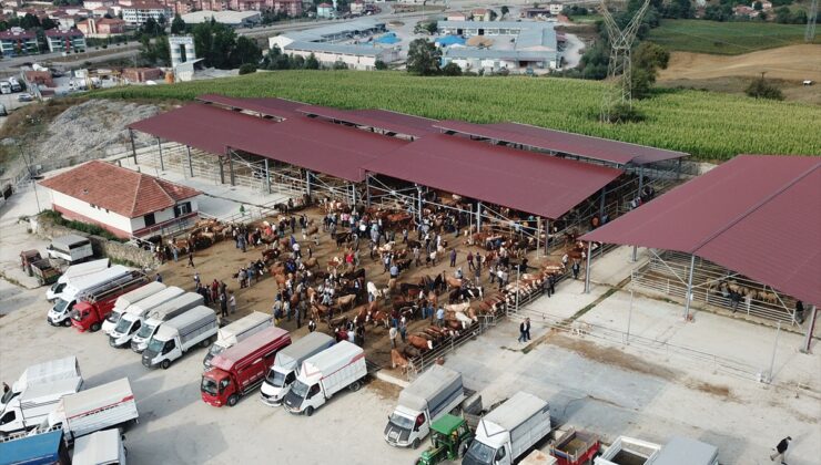 Samsun Havza’da şap tedbiri nedeniyle canlı hayvan pazarı kapatıldı