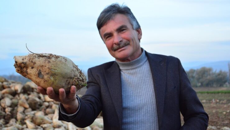 Şeker pancarı üreticisinden çiftçilere olay sözler! “Külliyen yalan söylüyor”