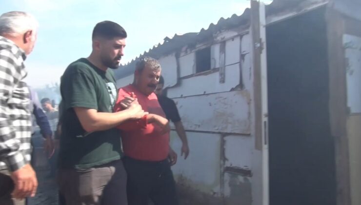 Silivri’deki ahır yangınında çok sayıda hayvan öldü, 2 kişi hastaneye kaldırıldı