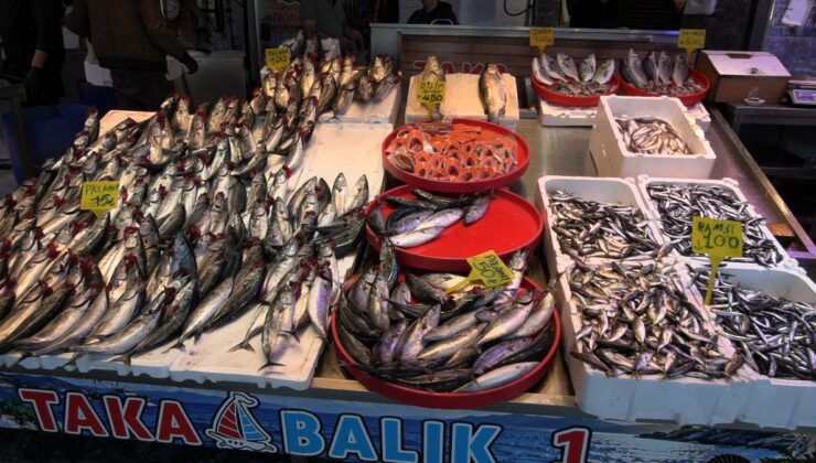 Trabzon’da av yasağı sona erdi, tezgahlarda palamut bolluğu başladı