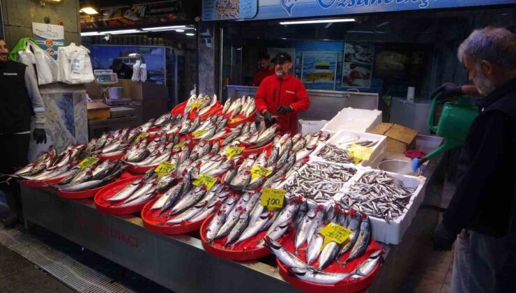 Trabzon’da palamut bolluğu sürüyor, tanesi 1 kiloya kadar büyüdü