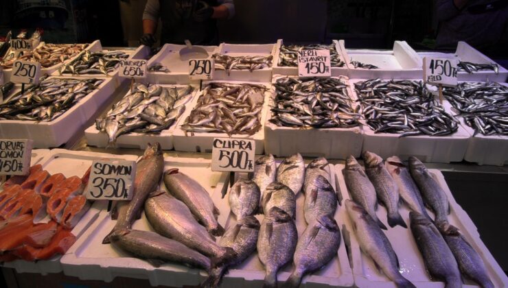 Trabzon’da palamut bolluğu yerini hamsiye bırakırken balıkçılar hamsi bekliyor