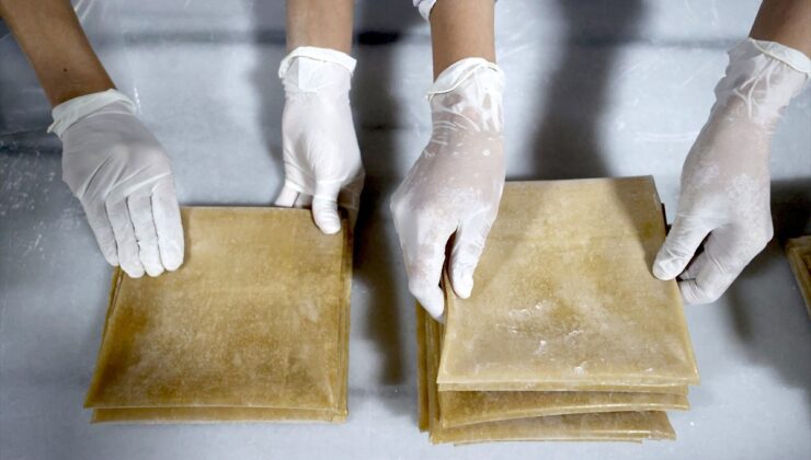 TÜBİTAK destekli makine Malatya’da farklı meyveleri pestile çeviriyor