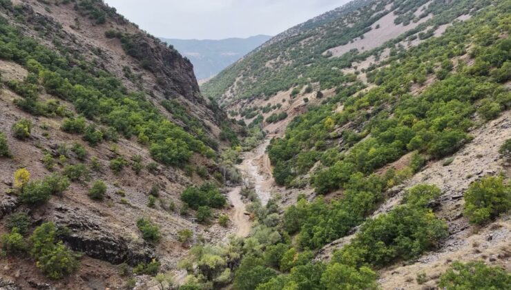 Tunceli’de Dere Ali Mezrası 100 yıllık hayalin ardından elektriğe kavuştu